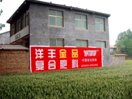  天柱如何让墙体广告展现最大化效果