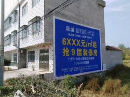  天柱墙体广告质量分析